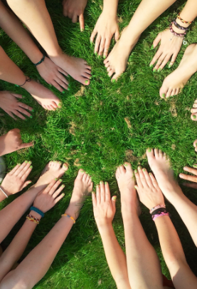 Climate Action & Wellness